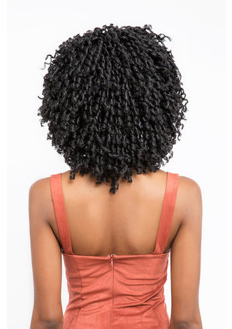HairYouGo Synthetic Braiding Hair Extensions Dreadlocks 1B# Kanekalon Low Temperature Fiber 5pcs Crochet Braids Hair 3 Colors