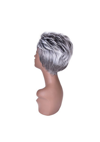  6inch High Temperature Fiber Short Straight Synthetic Wigs 1pc Heat Resistant Silver Grey White Cosplay Cos Wig 2086