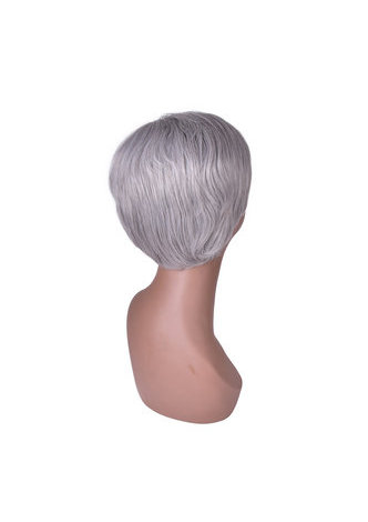  6inch Short Straight Synthetic Wig 1pc Silver Grey Color Cosplay Party Wig 2098 High Temperature Fiber Wig
