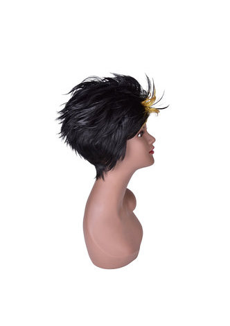  6inch Short Straight Synthetic Women Wig for Sale 1pc Heat Resistant High Temperature Fiber Black Cosplay Wig 4041