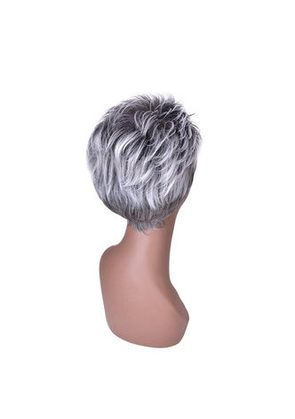 HairYouGo 6inch High Temperature Fiber Short Straight Synthetic Wigs 1pc Heat Resistant Silver Grey White Cosplay Cos Wig 2086