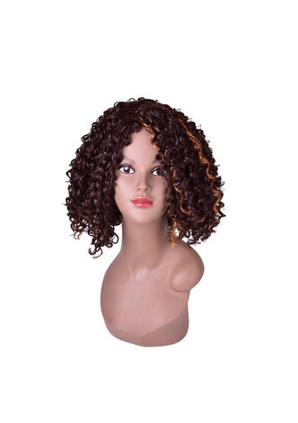 HairYouGo 13inch Ombre Brown Afro Kinky Curly Hair Medium Length Synthetic Wigs for Black Women High Temperature Fiber